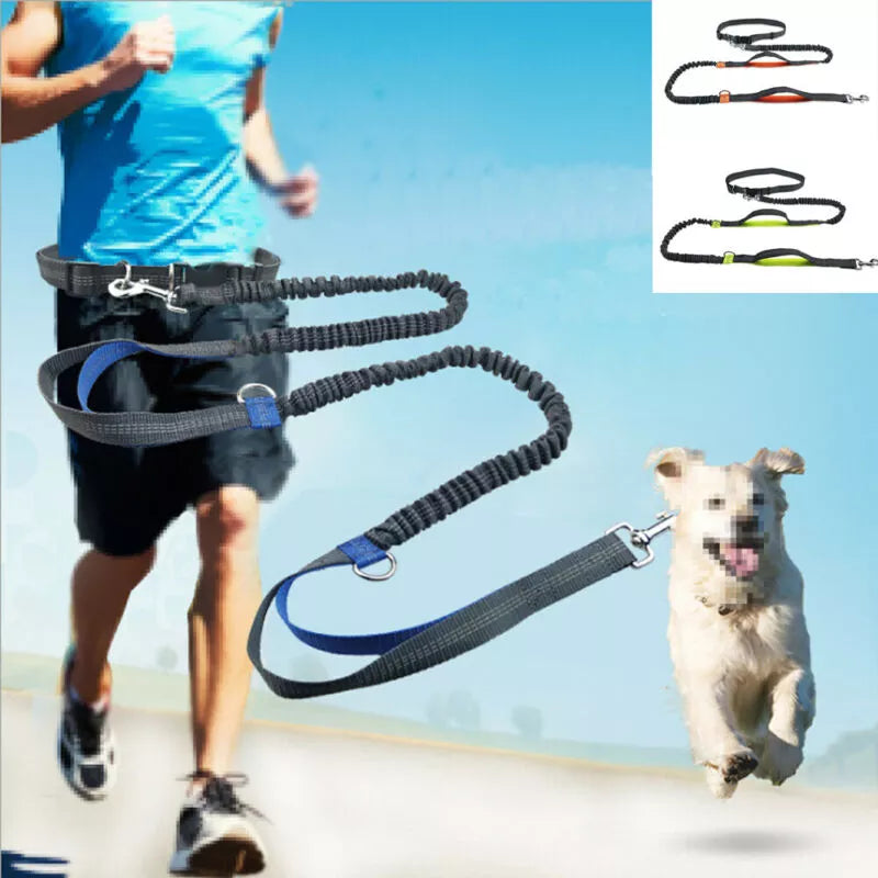 Wowhound™ Premium Dog Leash